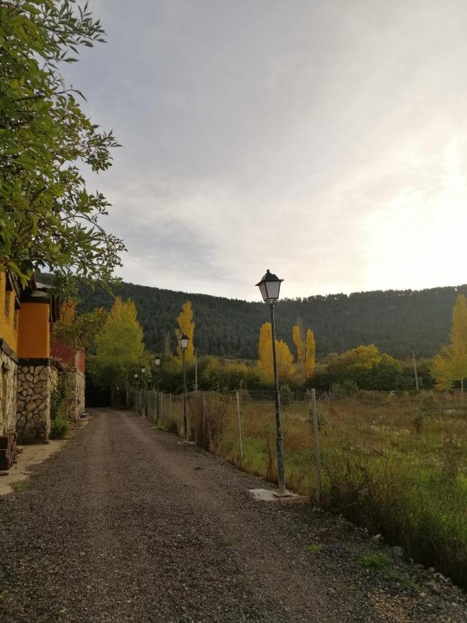 La Trufa Madre Casa 3